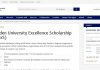 Leiden University Excellence Scholarships (LexS)
