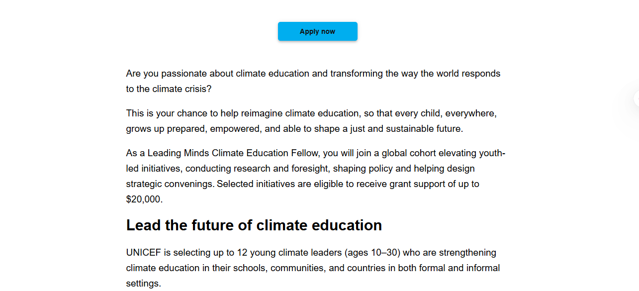 UNICEF’s Leading Minds Fellowship 