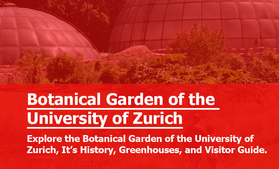 Botanical Garden of the University of Zurich: Visitor and Study Guide Botanical Garden of the University of Zurich