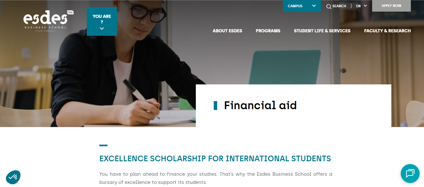 ESDES Business School Excellence Scholarship