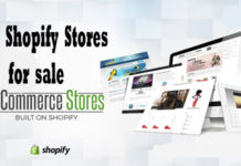 Shopify Most Successful Stores - Shopify Best Stores | Makeover Arena