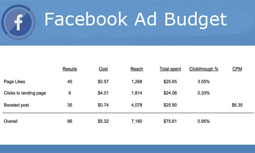 Facebook Ad Budget