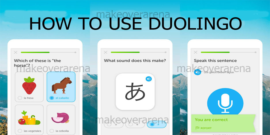 How To Use Duolingo