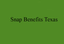 Snap Benefits Texas