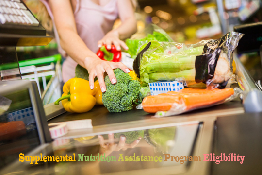 Supplemental Nutrition Assistance Program Eligibility