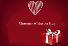 Christmas Wishes for Him 