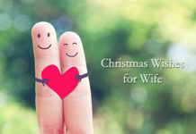 Christmas Wishes for Wife