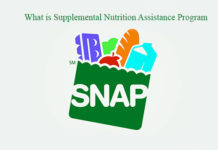 What is Supplemental Nutrition Assistance Program
