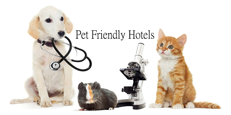 Pet Friendly Hotels