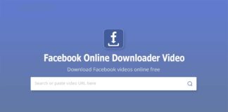 Facebook Online Downloader Video