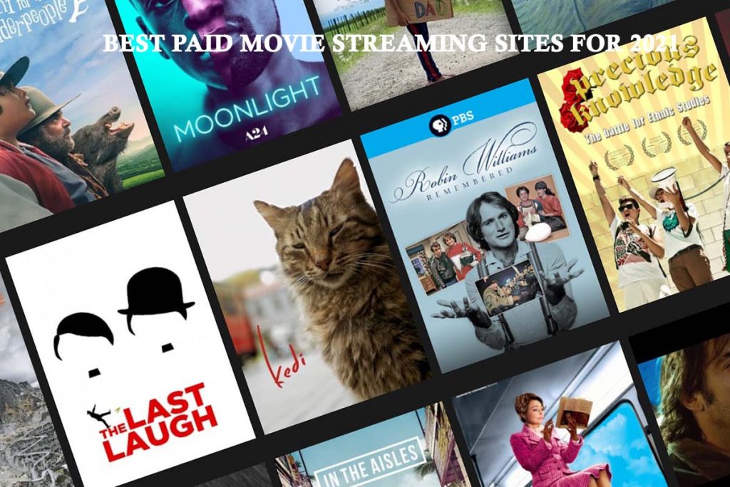 Best Paid Movie Streaming Sites for 2021