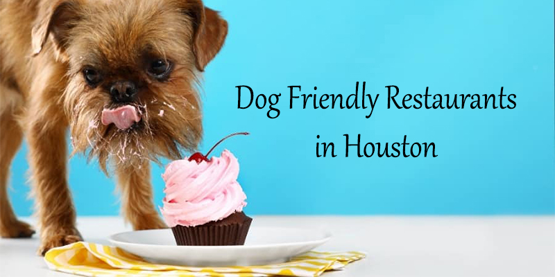 Dog Friendly Restaurants in Houston