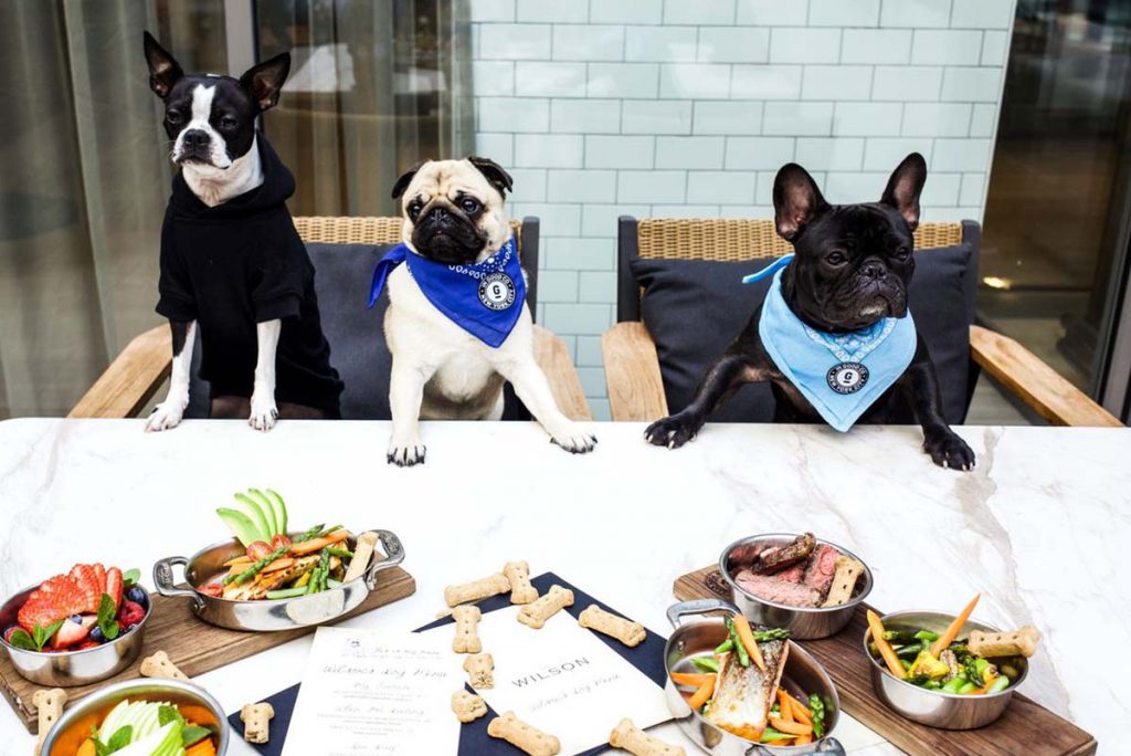 NYC Dog Friendly Restaurants