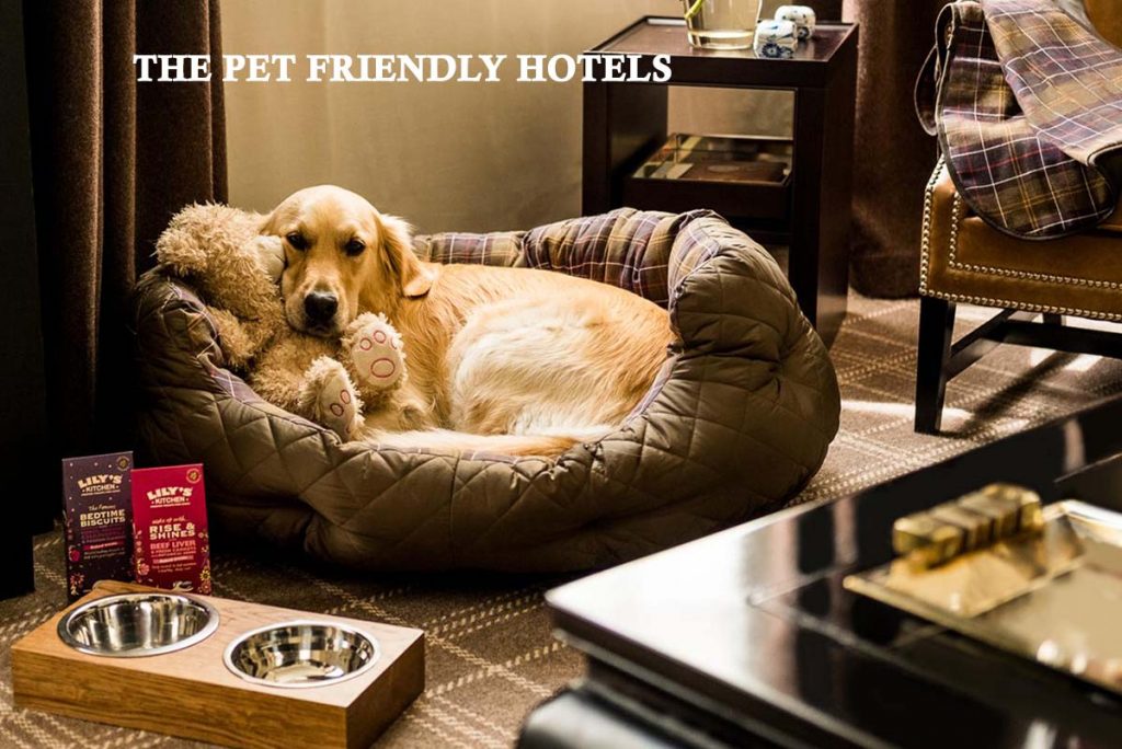 The Pet Friendly Hotels