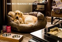 The Pet Friendly Hotels