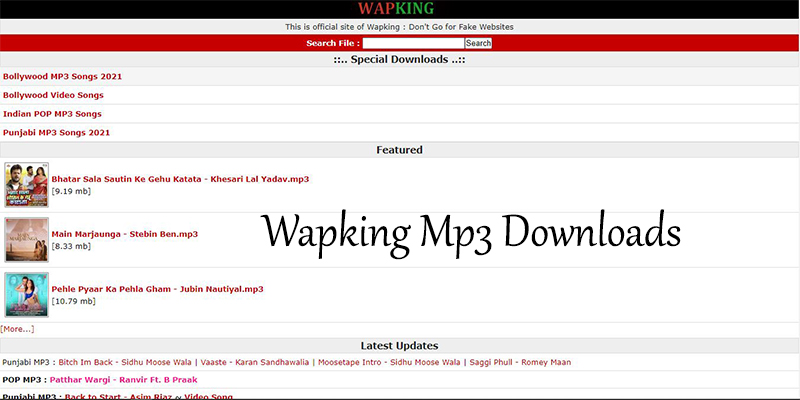 Wapking Mp3 Downloads