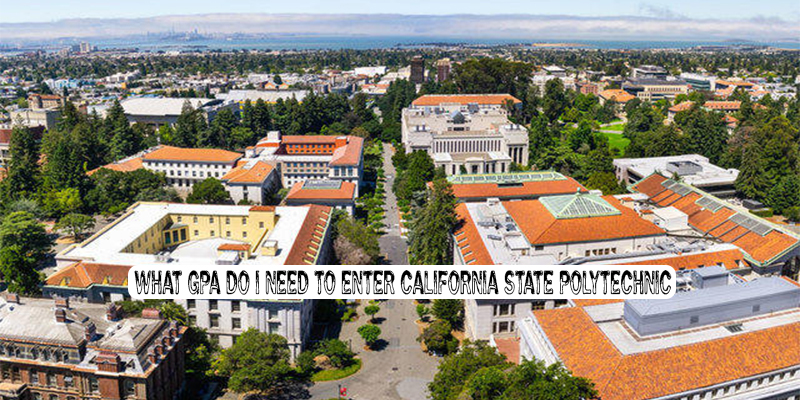 What GPA Do I Need To Enter California State Polytechnic