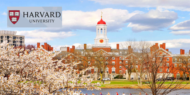Harvard University Cambridge