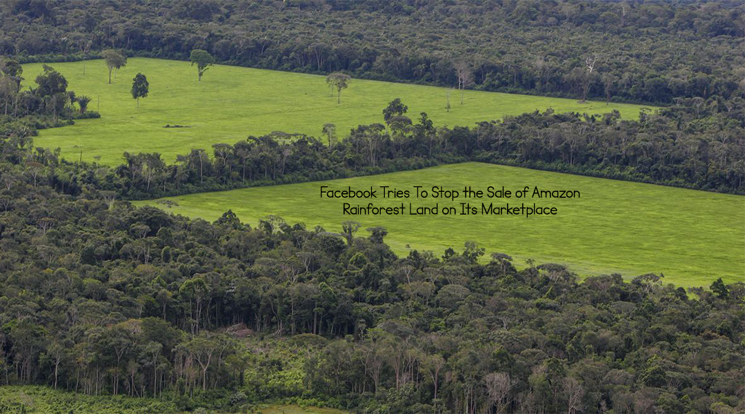 Facebook Tries To Stop the Sale of Amazon Rainforest Land on Its Marketplace
