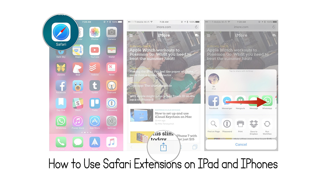 How to Use Safari Extensions on IPad and IPhones