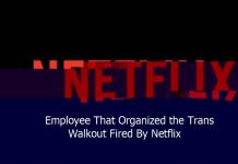 Employee That Organized the Trans Walkout Fired By Netflix