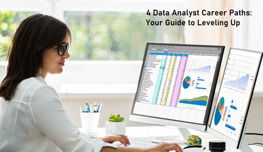 4 Data Analyst Career Paths: Your Guide to Leveling Up
