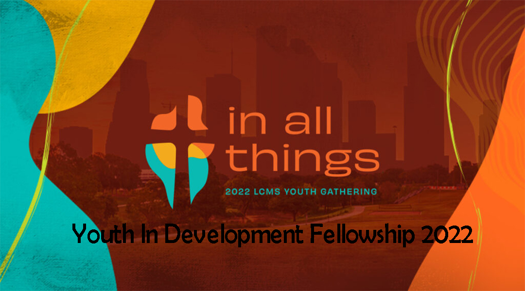 Youth In Development Fellowship 2022