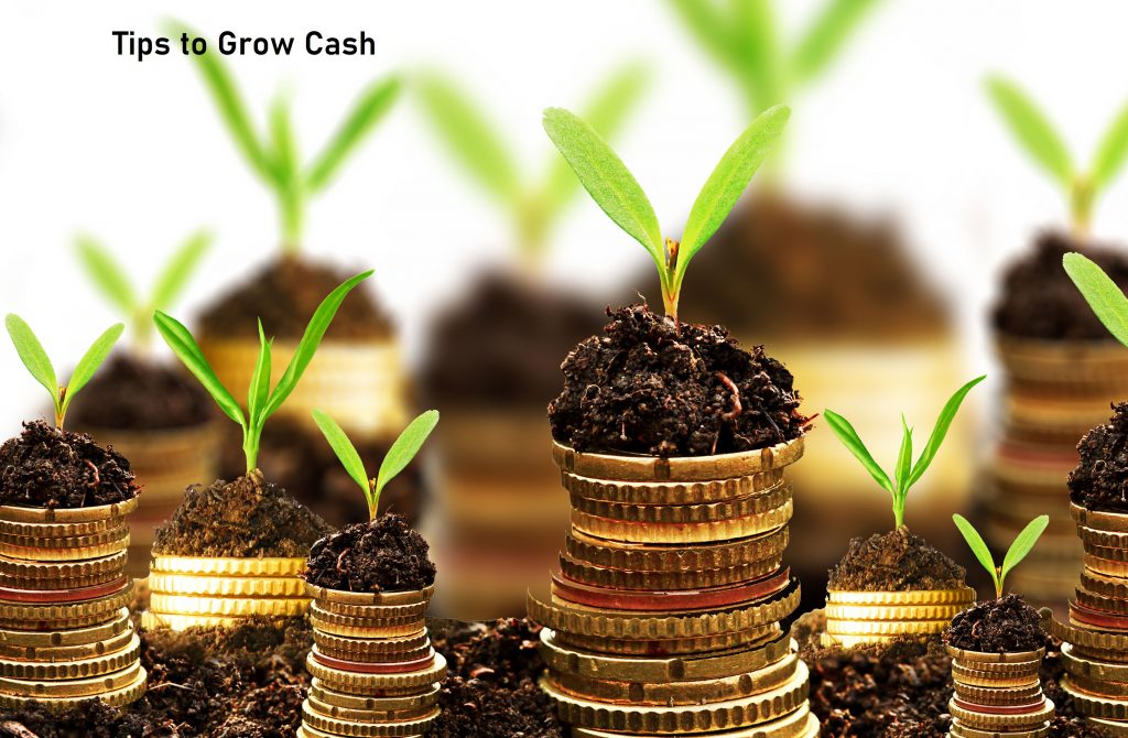 Tips to Grow Cash 