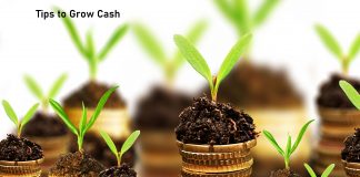 Tips to Grow Cash