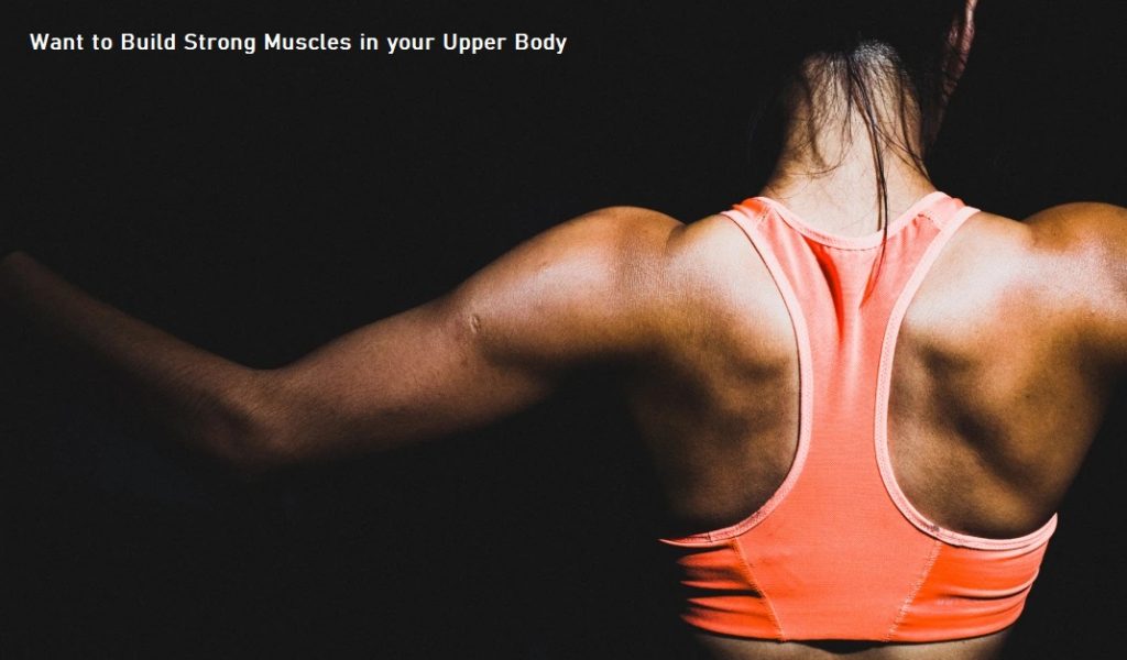 Want to Build Strong Muscles in your Upper Body
