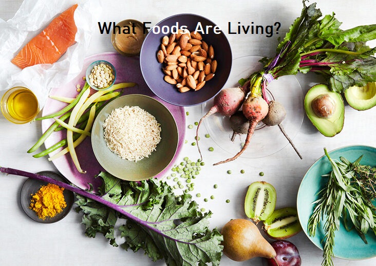 What Foods Are Living?