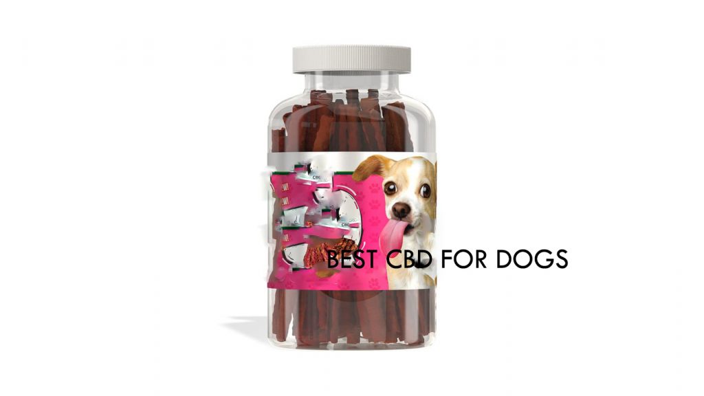 Best CBD for Dogs