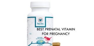 Best Prenatal Vitamin For Pregnancy