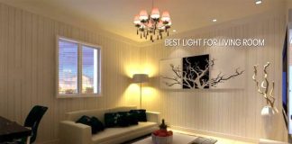 Best Light for Living Room