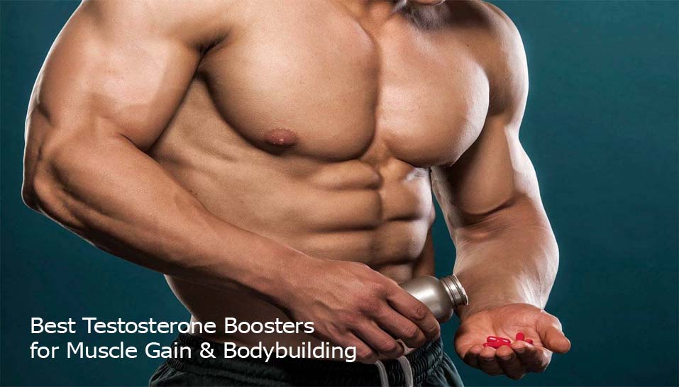 Best Testosterone Boosters for Muscle Gain & Bodybuilding