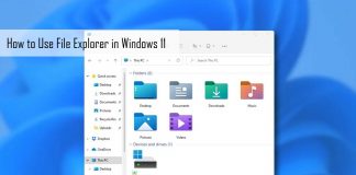 How to Use File Explorer in Windows 11