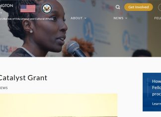 2025 Mandela Washington Fellowship Catalyst Grant