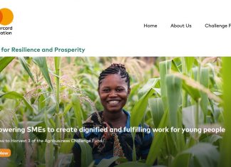 Agribusiness Challenge Fund For African SMEs 2024