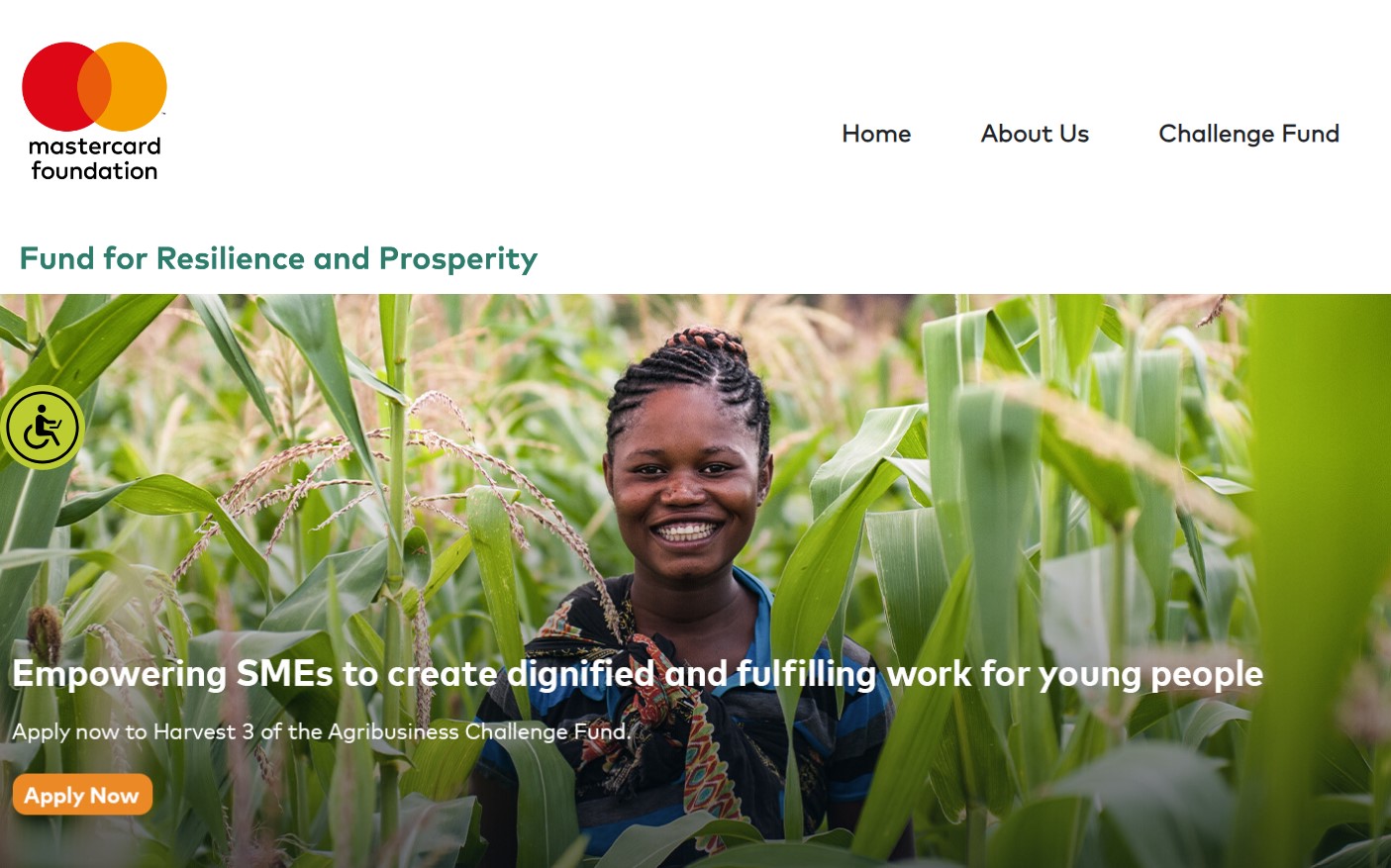 Agribusiness Challenge Fund For African SMEs 2024