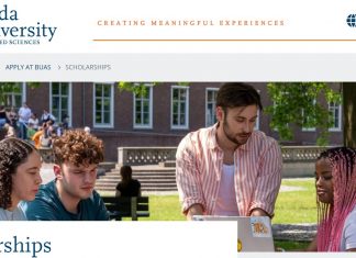 Breda University Of Applied Sciences NL Scholarship 2025 In Netherlands