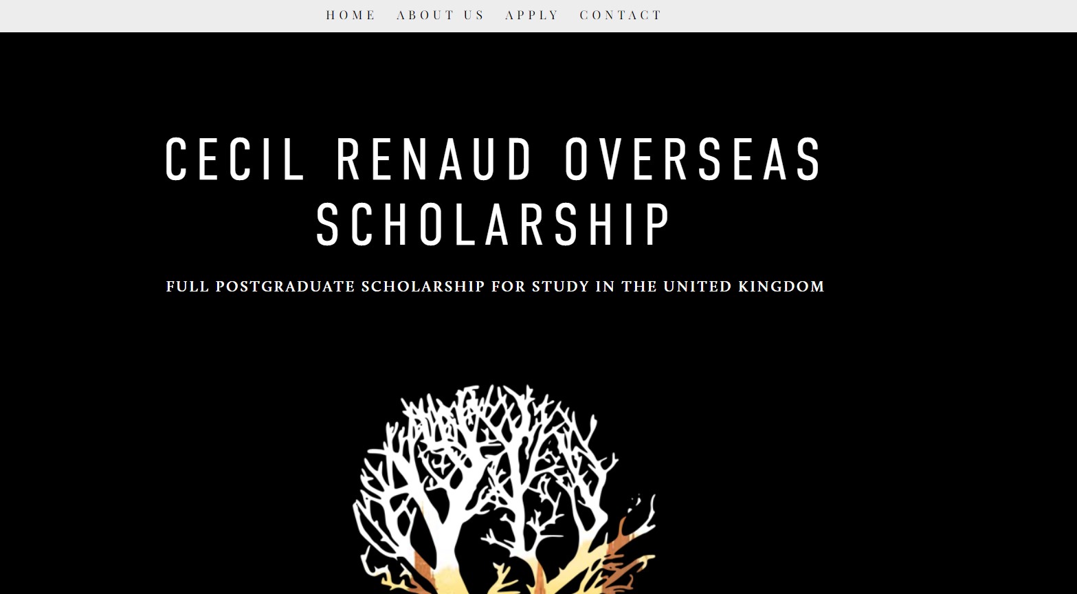 CECIL Renaud Overseas Scholarship 2025 for Young South Africans