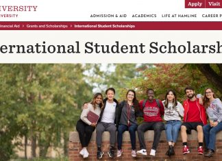 Hamline University Excellence Scholarship