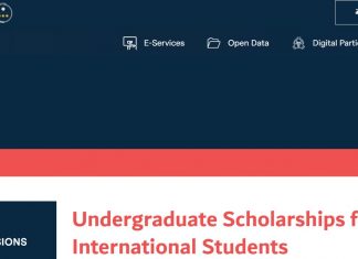 United Arab Emirates University Undergraduate Scholarships For International Students 2024