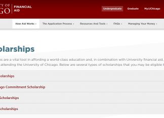 University of Chicago Undergraduate Scholarships