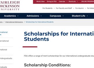 fairleigh dickinson scholarships for international students