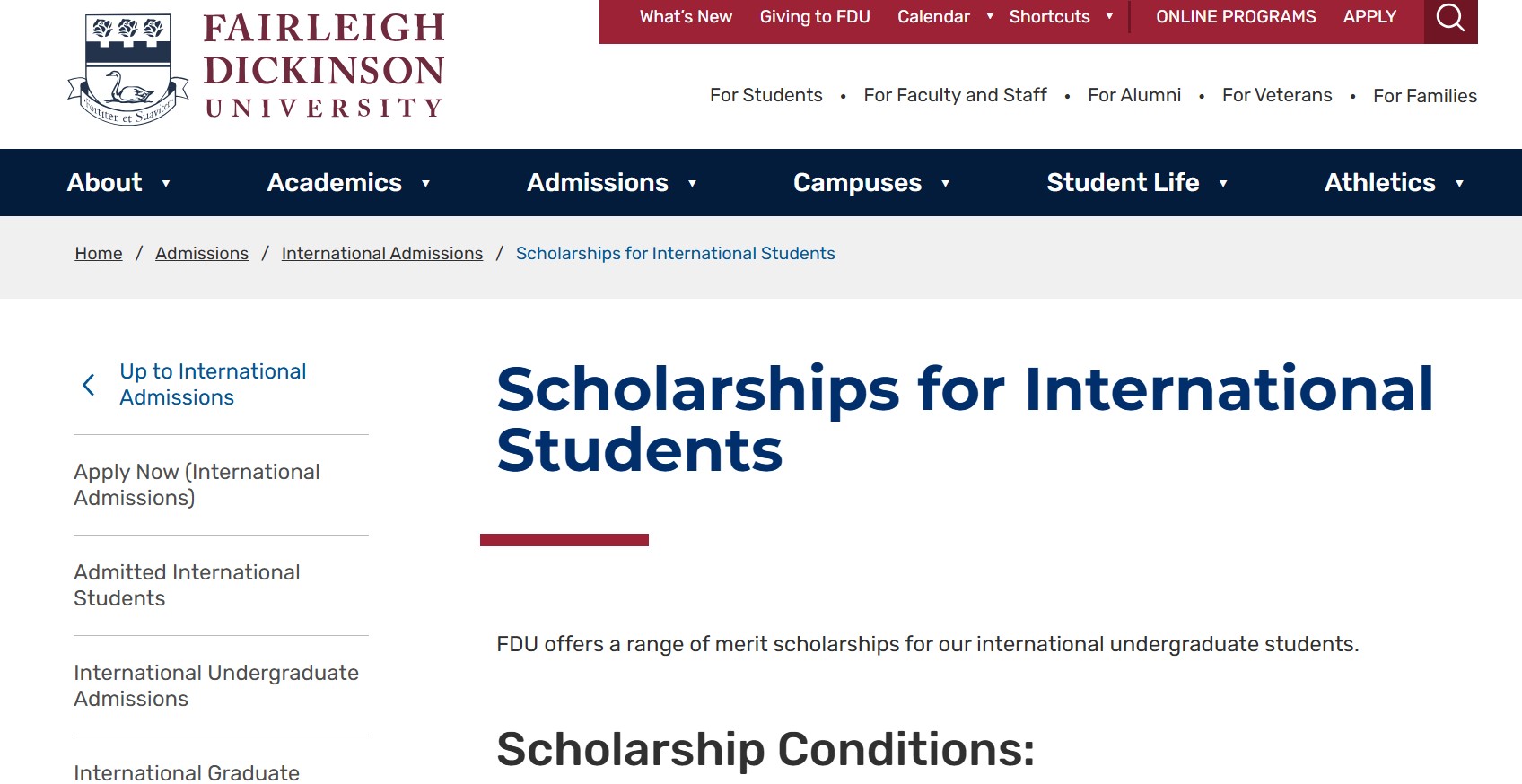 fairleigh dickinson scholarships for international students