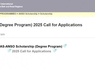 CAS-ANSO Postgraduate Scholarship 2025