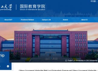 Dalian University of Technology CSC Scholarship