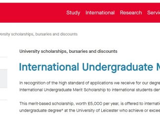 University of Leicester Undergraduate Scholarship 2025