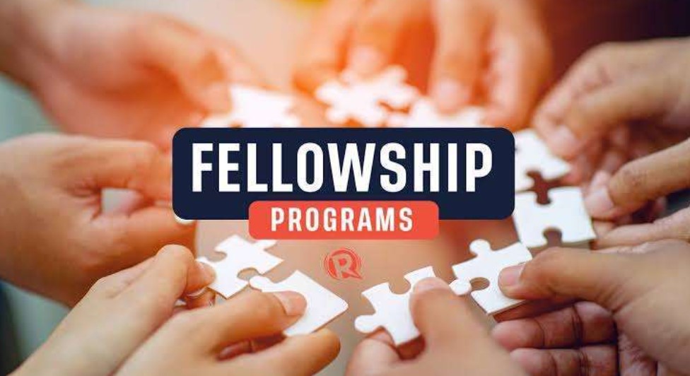 How to Apply for a Fellowship